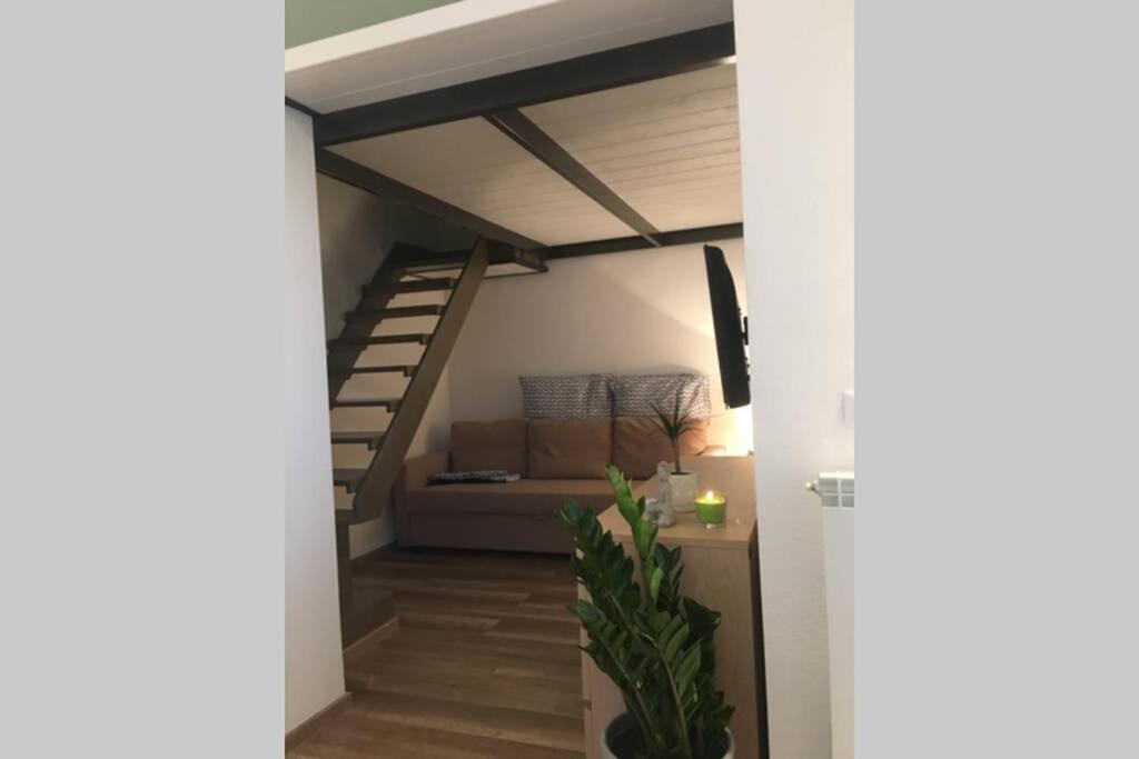 Ferienwohnung Bilocale Sul Mare Marina Di Pisa Exterior foto
