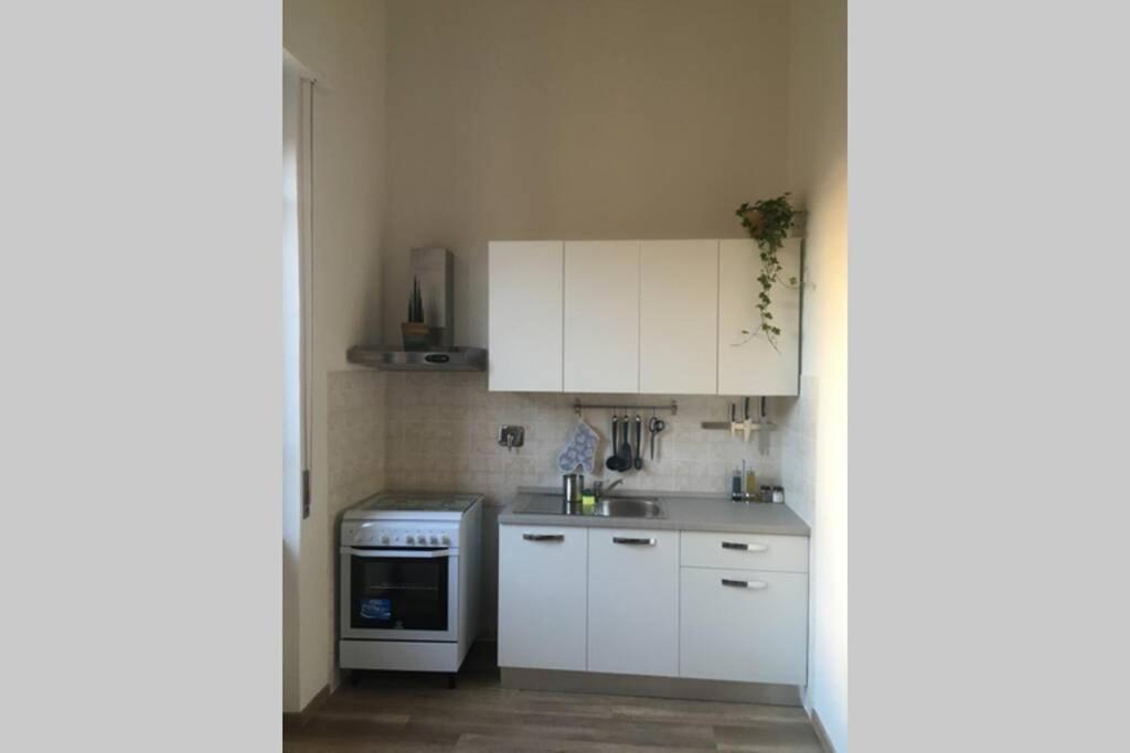 Ferienwohnung Bilocale Sul Mare Marina Di Pisa Exterior foto